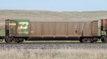 BN 535998